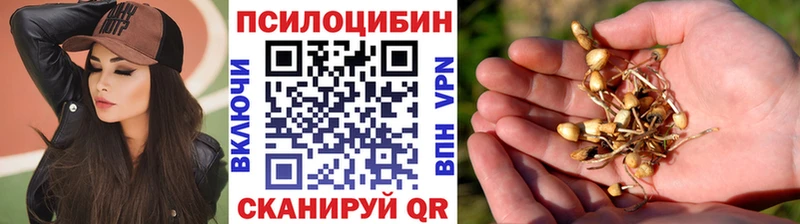 Псилоцибиновые грибы Psilocybe  купить наркоту  мега зеркало  shop формула  Учалы 