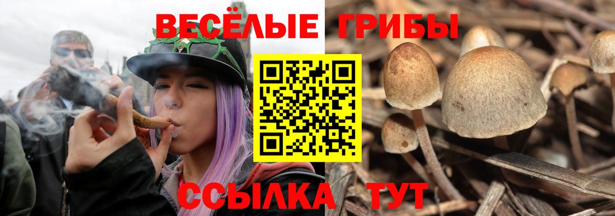 Псилоцибиновые грибы ЛСД Учалы